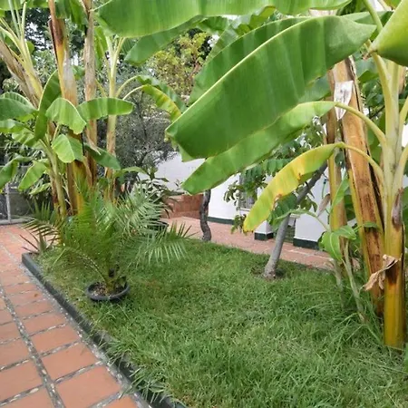 - Casa Vivi 12 Сasa de vacaciones Nerja